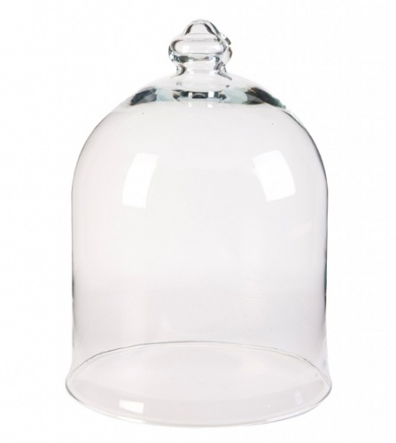 Стеклянные колпаки для цветов и растений Колпак для цветов Agatha Vase