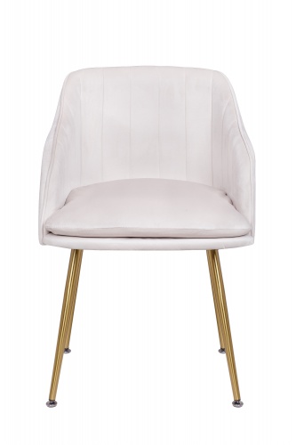 Интерьерный стул Стул Aqua steel beige